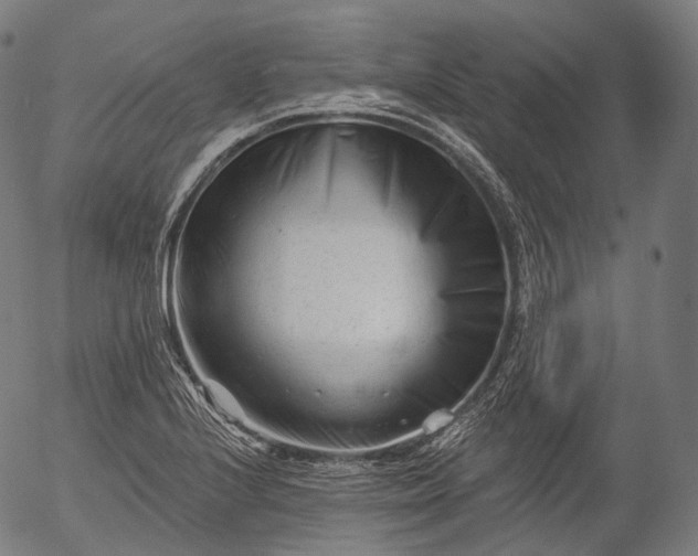 X0000055971224200509021538