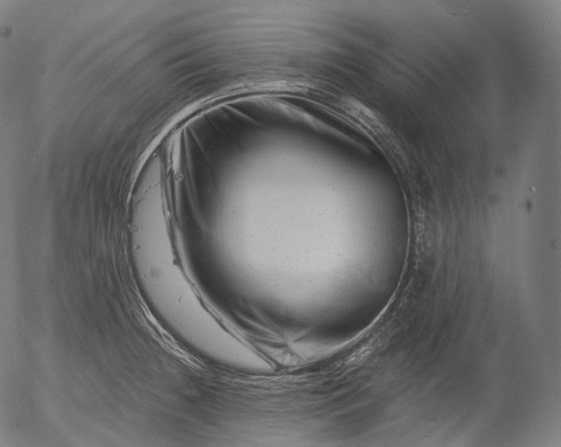 X0000055971236200509021538