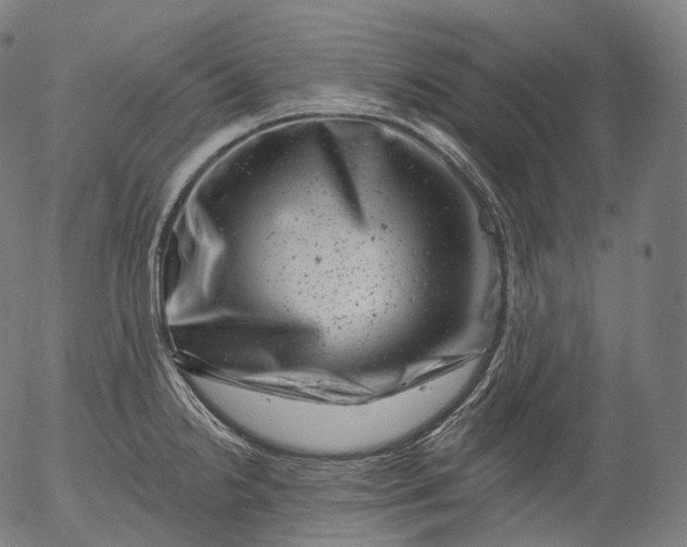 X0000055971238200509021538
