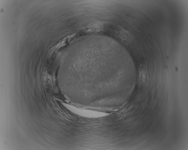 X0000055971250200509021538