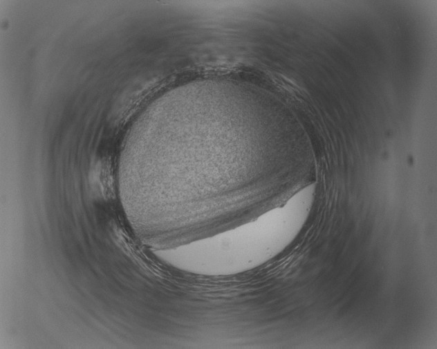 X0000055971252200509021538