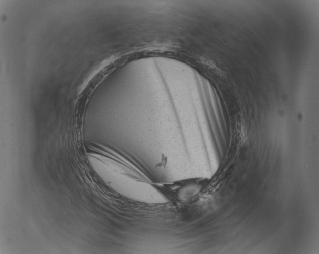 X0000055971256200509021537
