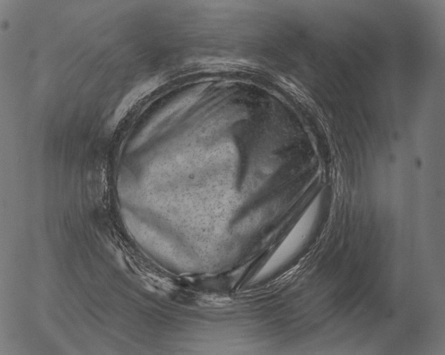X0000055971261200509021537
