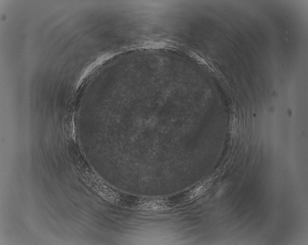 X0000055971262200509021537