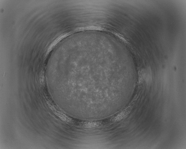 X0000055971266200509021537