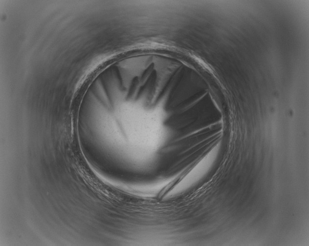 X0000055971270200509021537