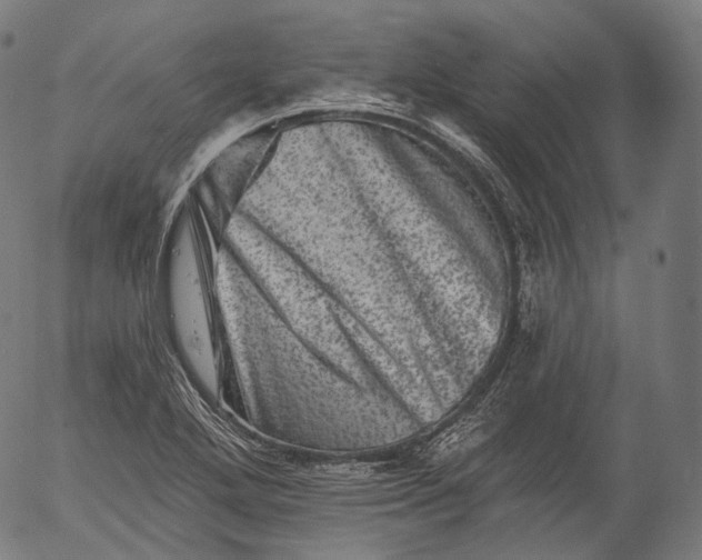 X0000055971272200509021537