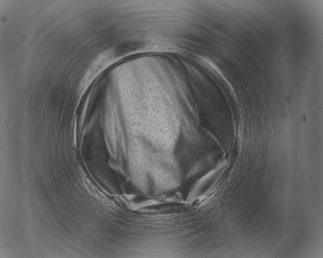 X0000055971276200509021537