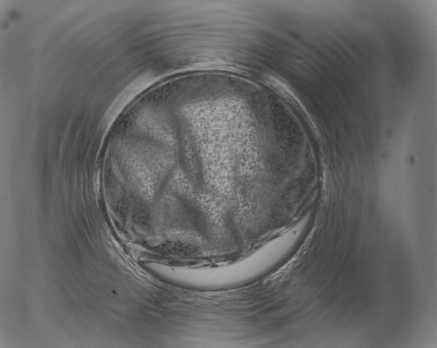 X0000055971284200509021537