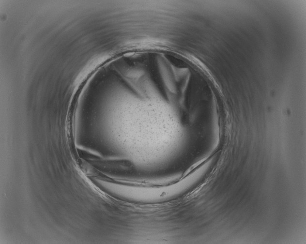 X0000055971285200509021537
