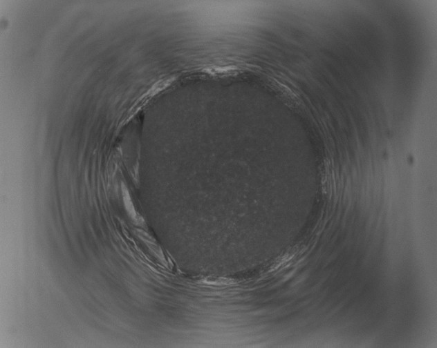 X0000055971298200509021536