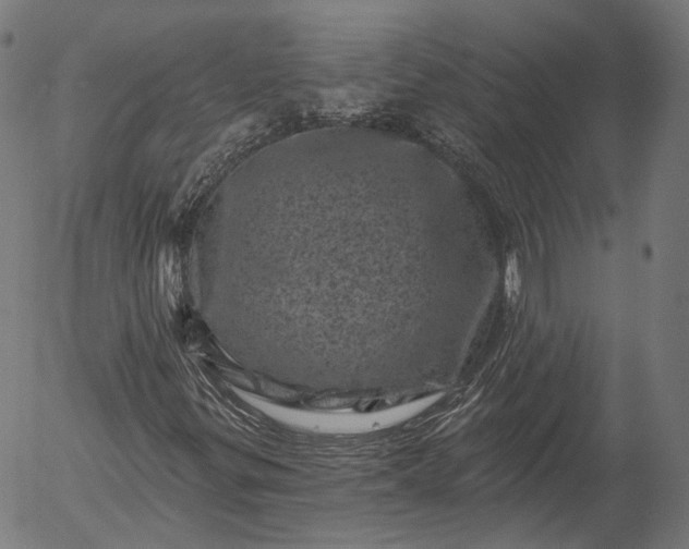 X0000055971299200509021536