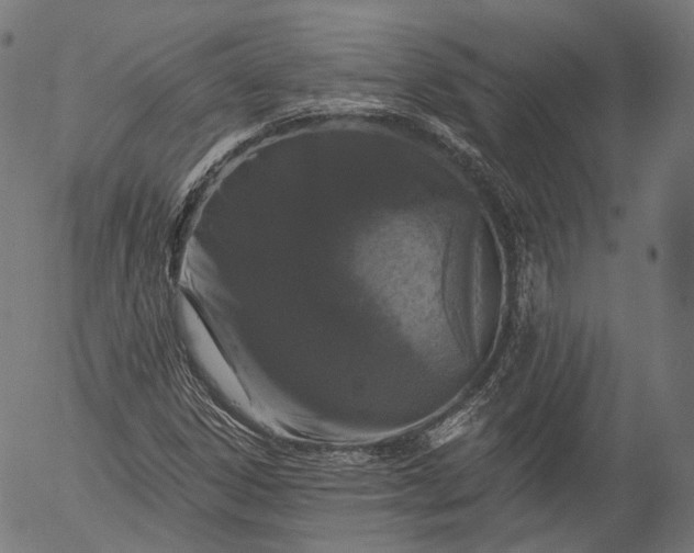 X0000055971306200509021536