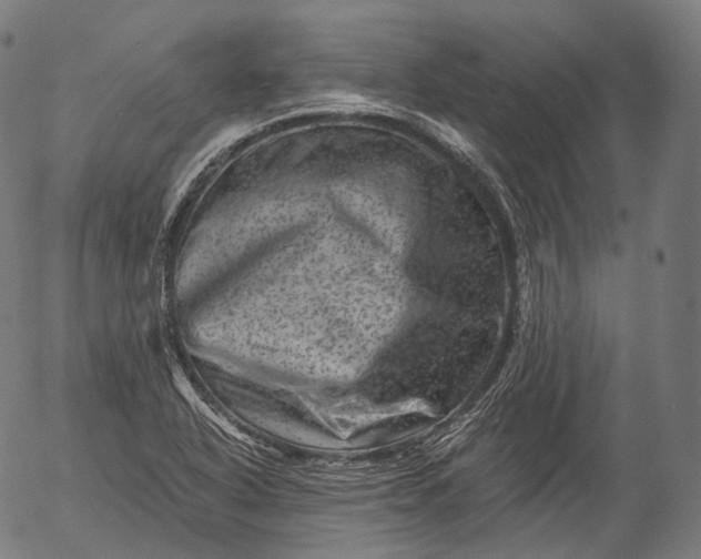 X0000055971318200509021536