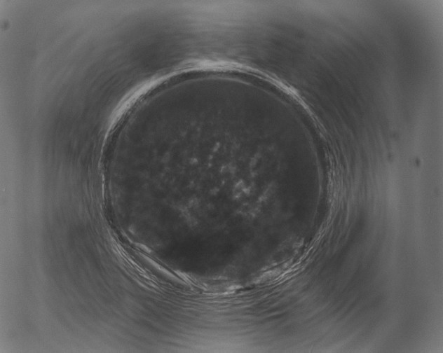 X0000055971319200509021536