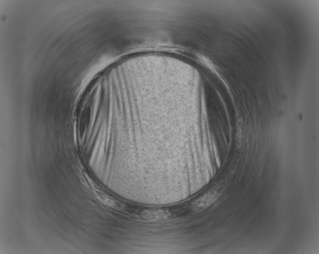 X0000055971320200509021536