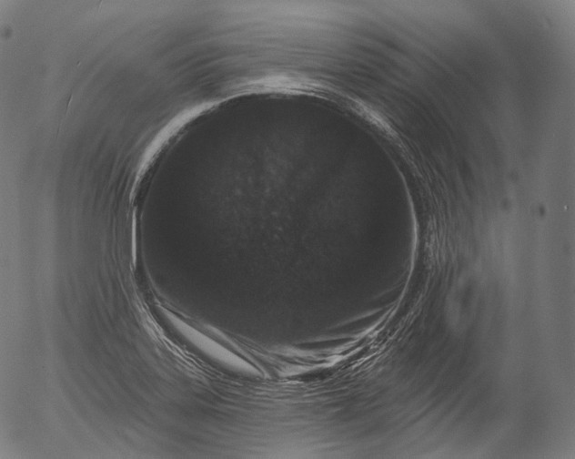 X0000055971323200509021536