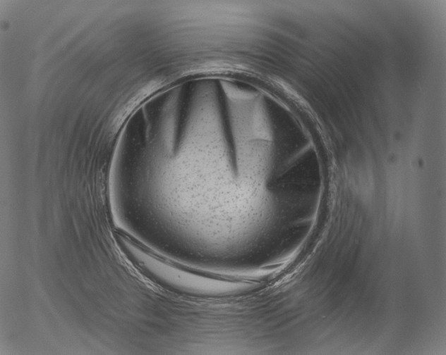 X0000055971329200509021537