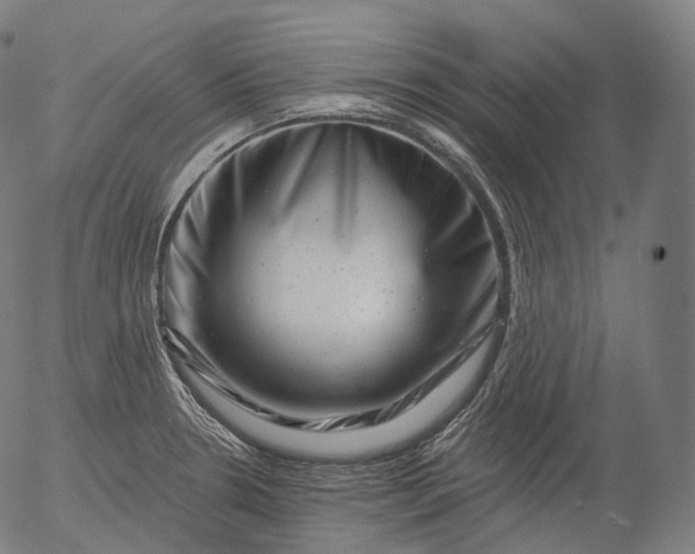 X0000055971330200509021537