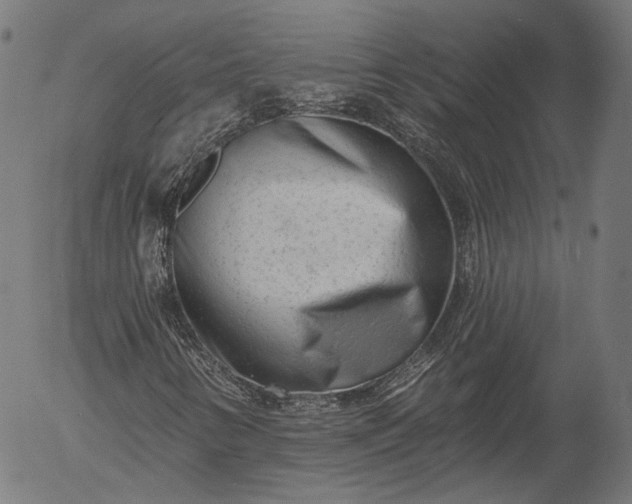 X0000055971346200509021536