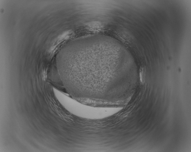 X0000055971347200509021536