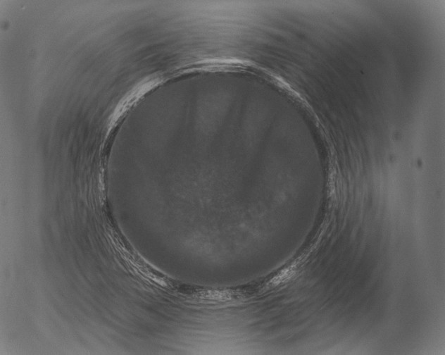 X0000055971362200509021536