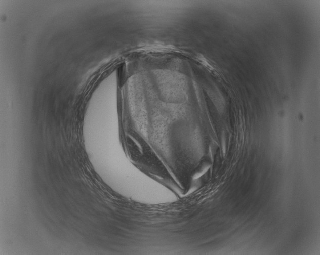 X0000055971398200509021534