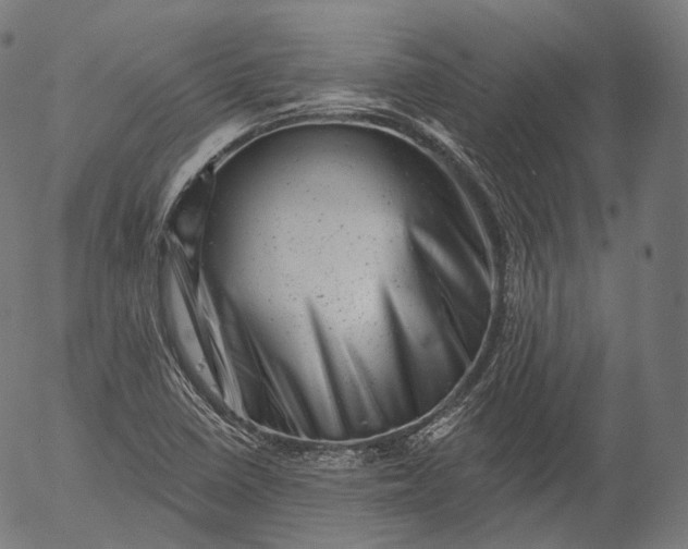 X0000055971410200509021535