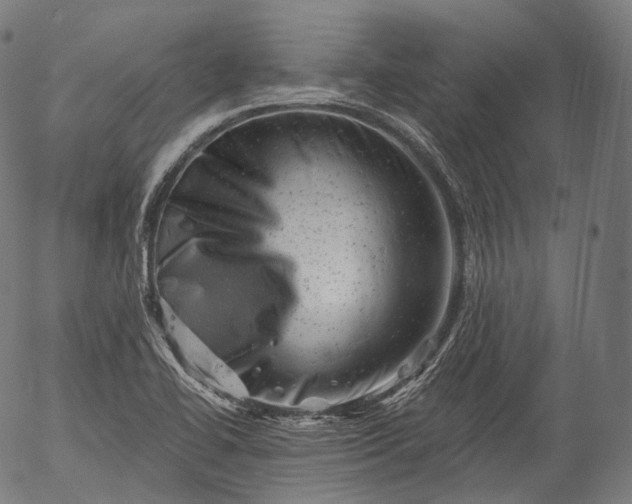 X0000055971414200509021535