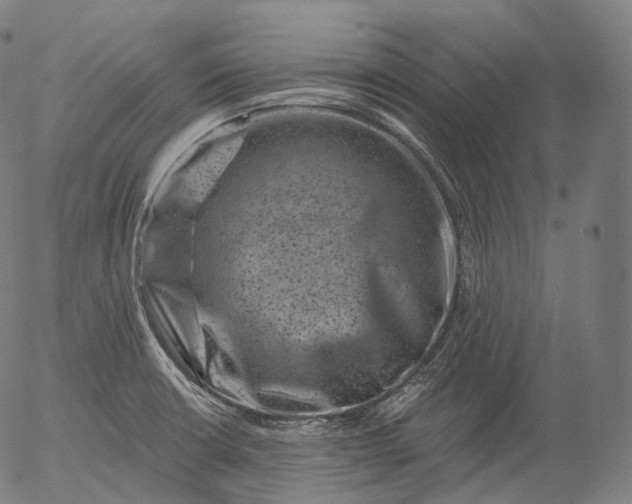 X0000055971426200509021535