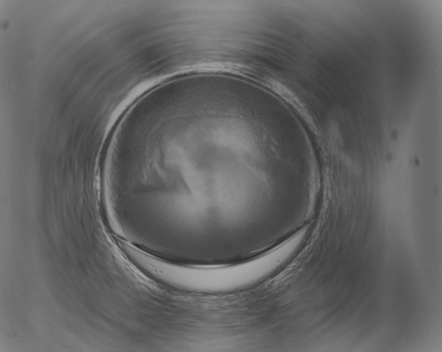 X0000055971428200509021535