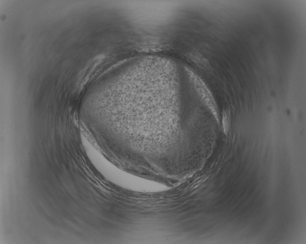 X0000055971444200509021534