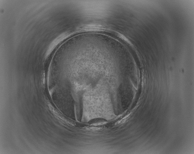 X0000055971461200509021534
