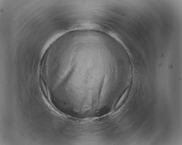 X0000055971477200509021534