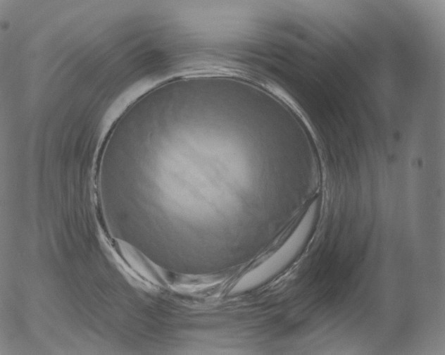 X0000055971485200509021534