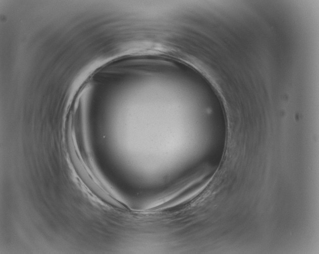 X0000055971488200509021534