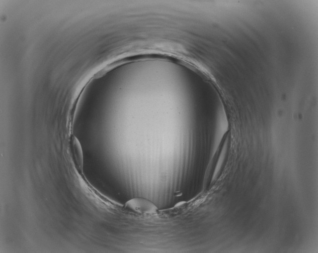 X0000055971524200509021533