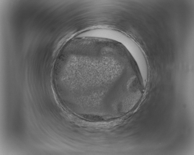 X0000055970001200509091456