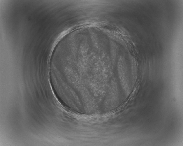X0000055970003200509091456