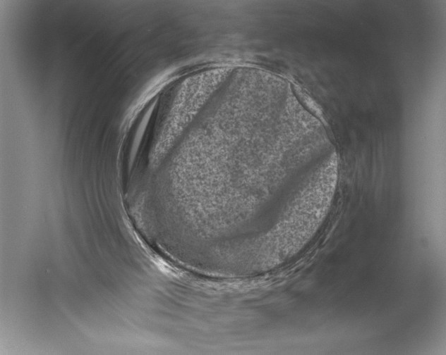 X0000055970005200509091456