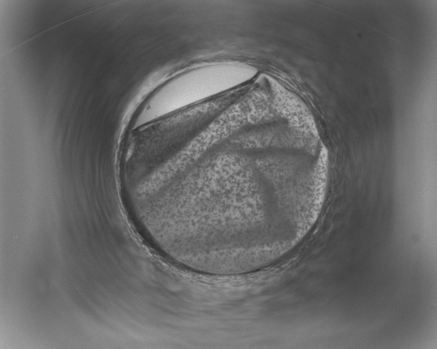 X0000055970006200509091456
