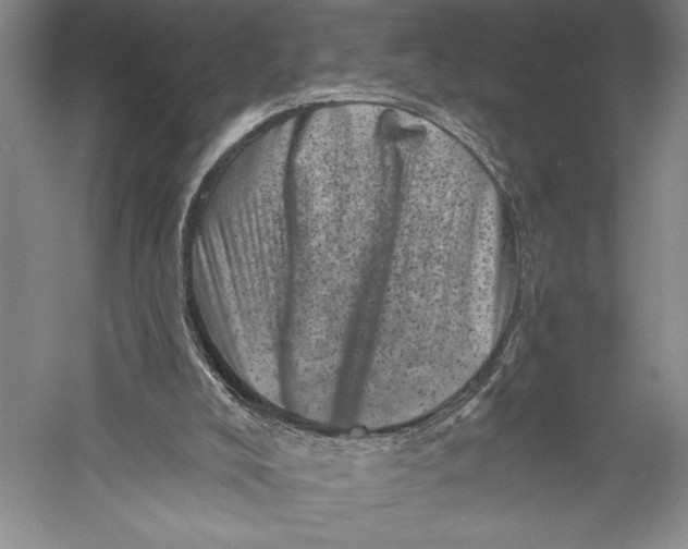 X0000055970008200509091456