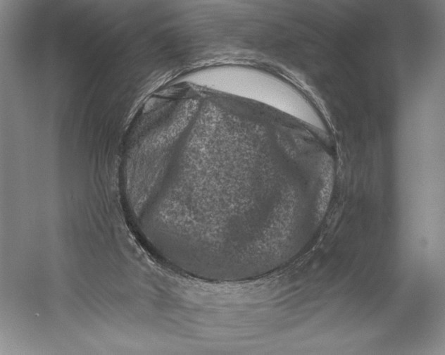 X0000055970010200509091456