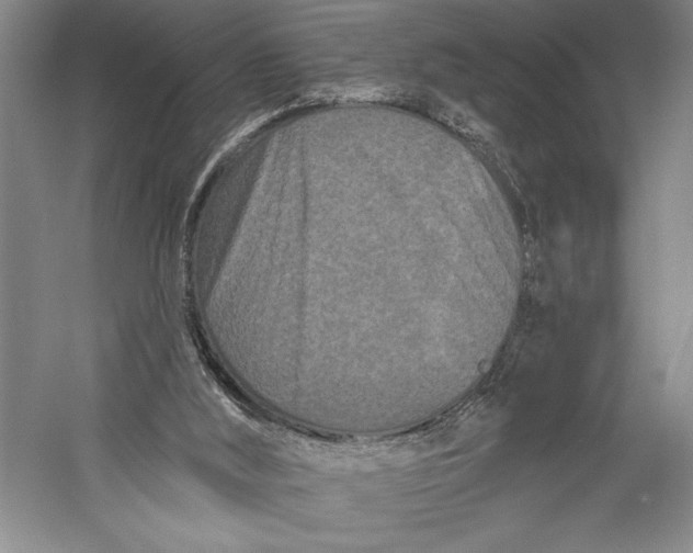 X0000055970012200509091456