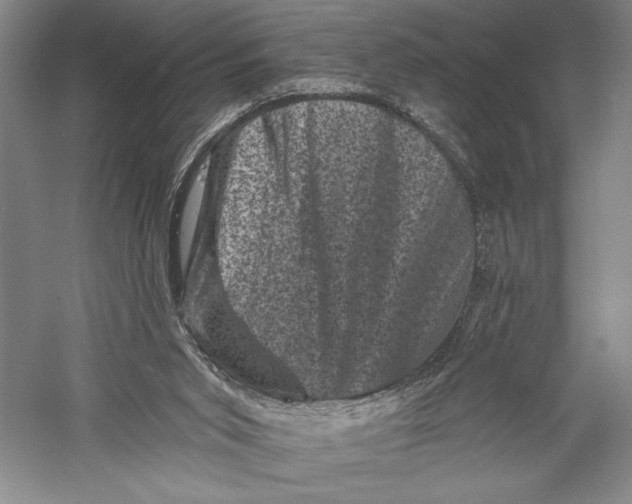 X0000055970015200509091456
