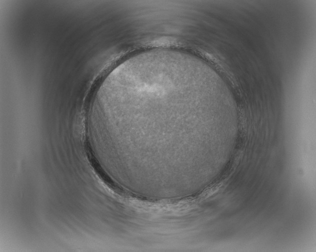 X0000055970016200509091456