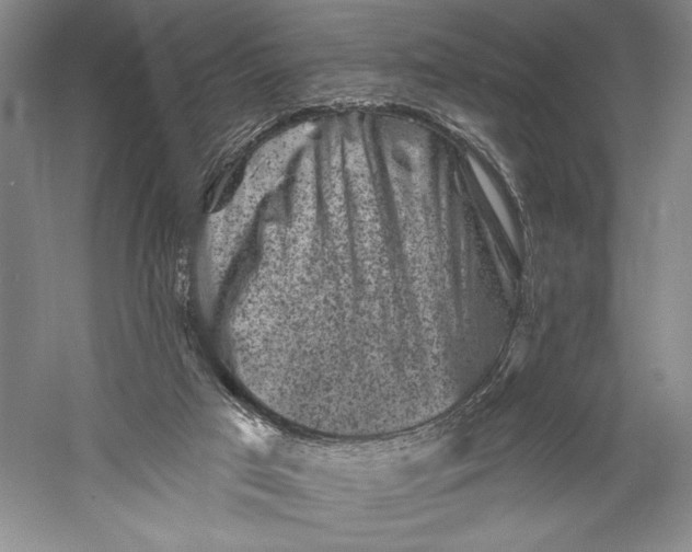X0000055970017200509091456