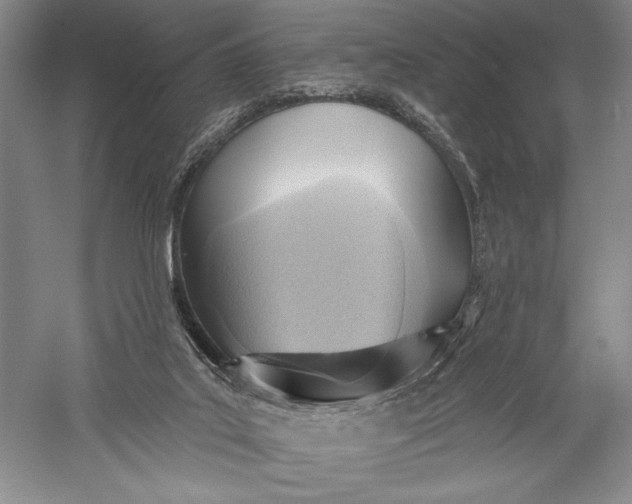 X0000055970019200509091456