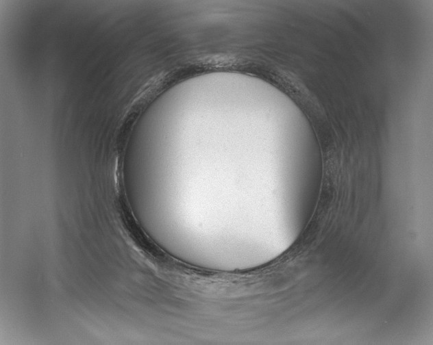 X0000055970024200509091456