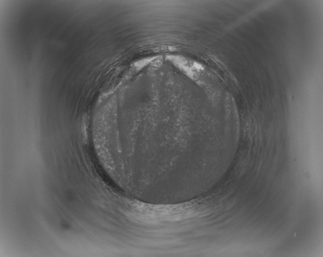 X0000055970026200509091456